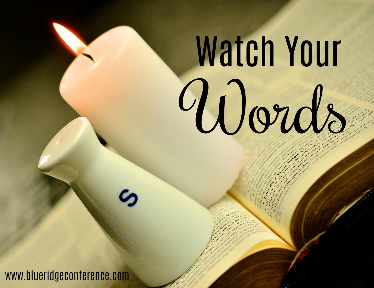 watch-your-words-blue-ridge-mountains-christian-writers-conference